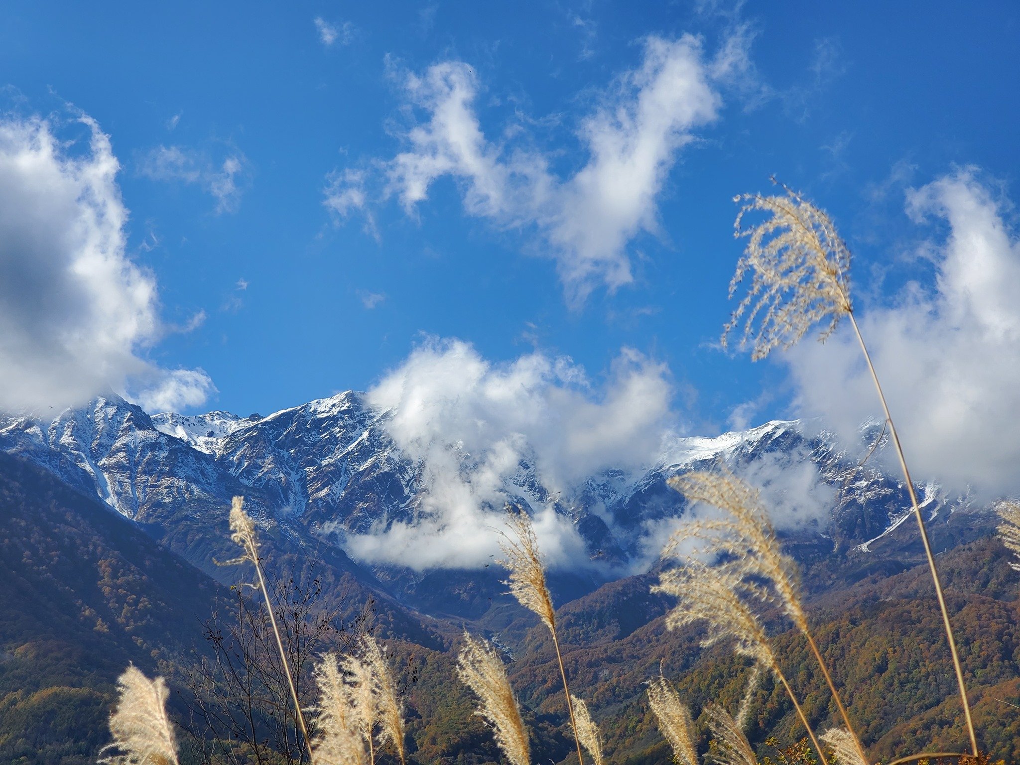 hakuba_iwatake_mountain_harbor_autumn (5)