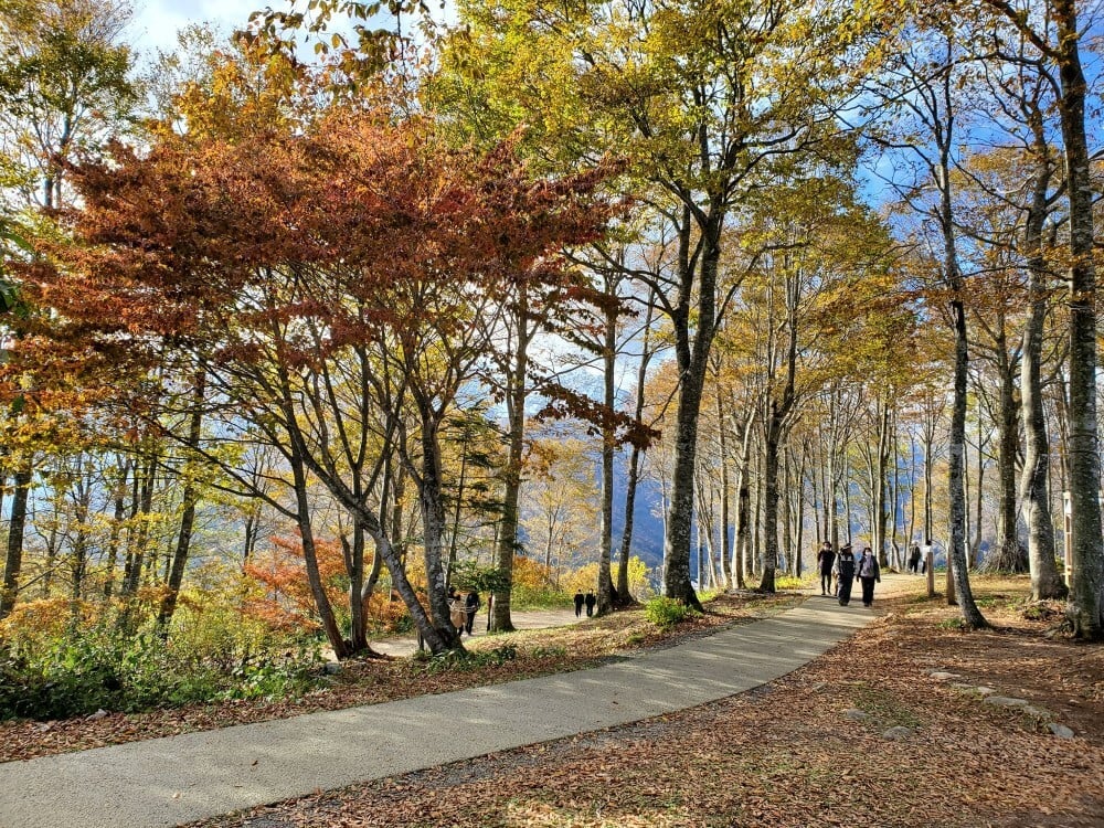 hakuba_iwatake_mountain_harbor_autumn (9)