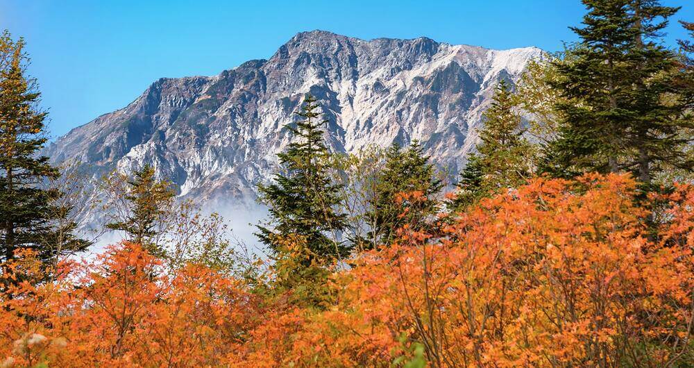 hakuba-tsugaike-autumn (22)