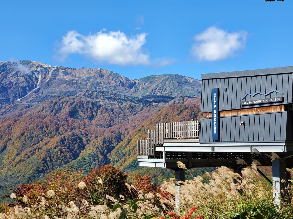 iwatake-mountain-harbor-5-1
