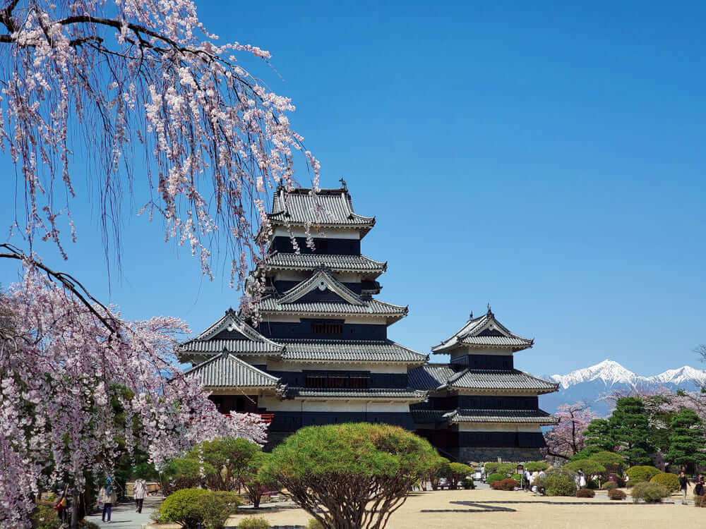 matsumoto-castle-sakura-2